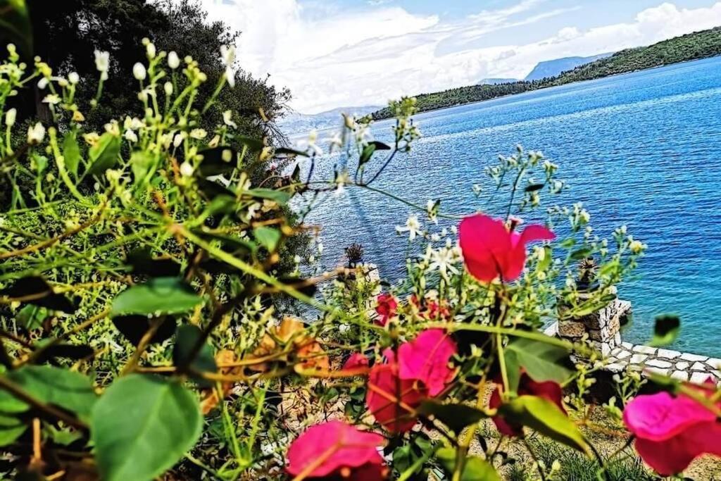 Villa Violeta Lefkada Nydri Eksteriør billede