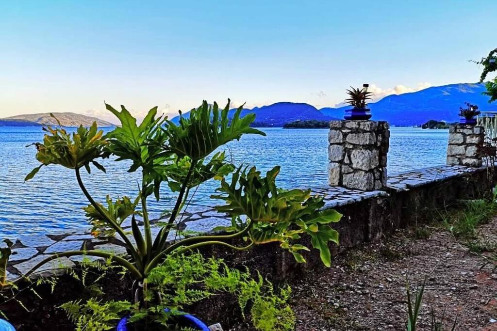 Villa Violeta Lefkada Nydri Eksteriør billede