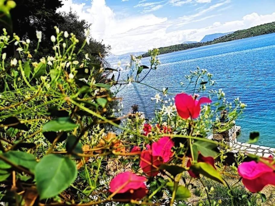 Villa Violeta Lefkada Nydri Eksteriør billede